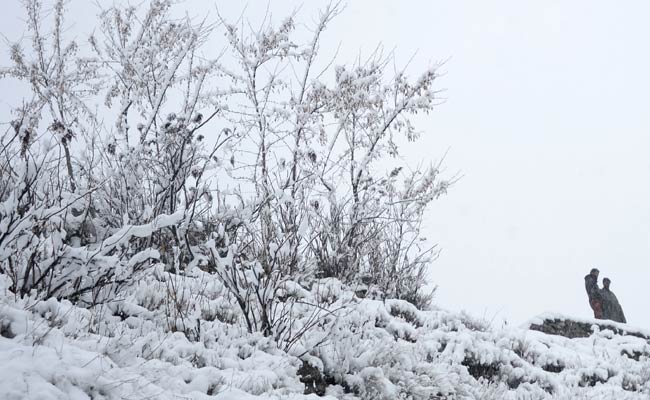 Flights Cancelled In Srinagar For Second Day After Heavy Snow In Kashmir