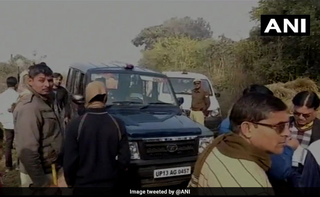 Skeletons Of 6 Cows Found In Uttar Pradesh's Aligarh