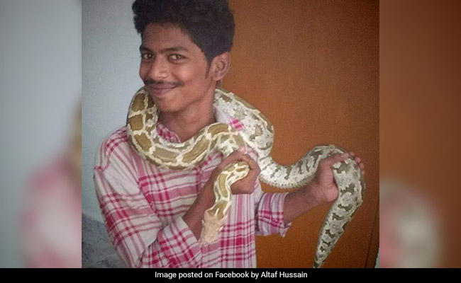 Telangana Man Poses With Python To Sell Snakes On Social Media