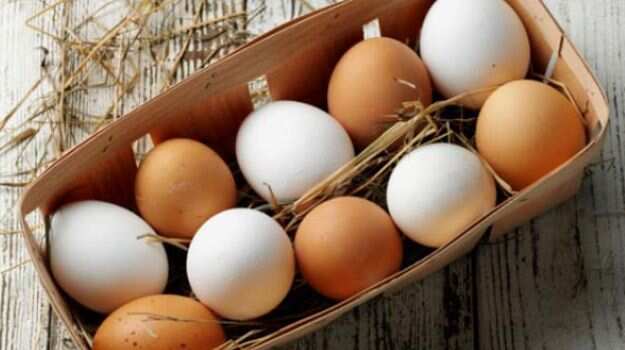 Weight Loss: Are Brown Eggs Healthier Than White Eggs?