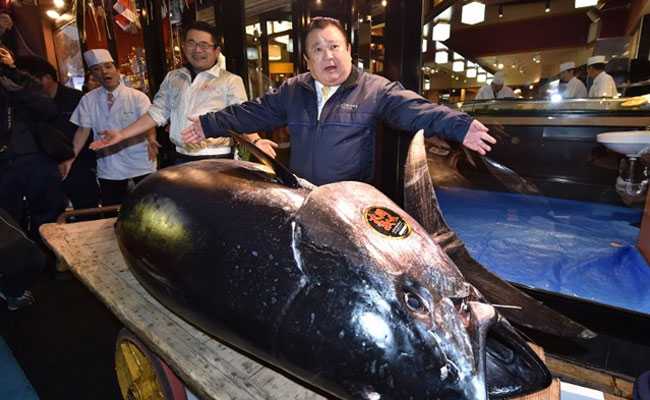 Japan Sushi Tycoon Pays Record $3.1 Million For Rare Bluefin Tuna