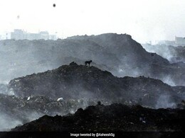 IAS Officer का कमाल, 6 महीने में गायब कर दिया 13 लाख टन कूड़ा, कचरा घर बन गया ऐसा IAS Officer का कमाल, 6 महीने में गायब कर दिया 13 लाख टन कूड़ा, कचरा घर बन गया ऐसा