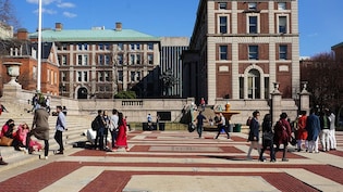 15% Decline In Indian Students Seeking Undergraduate Courses In US: Report