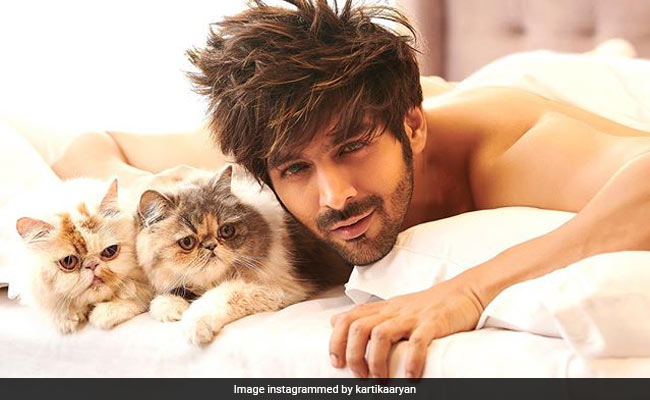 Sunny Leone, Kartik Aaryan, Kriti Sanon, Tiger Shroff: Pages From Dabboo Ratnani's 2019 Calendar Shoot
