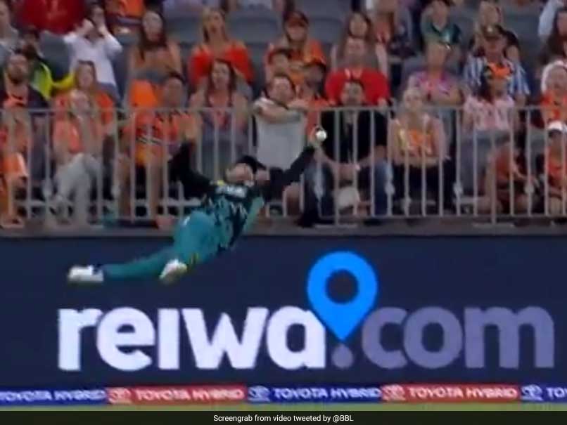 Big Bash League: McCullum flew off the ground and tried to grab the ball but that was miss Big Bash League: McCullum flew off the ground and tried to grab the ball but that was miss