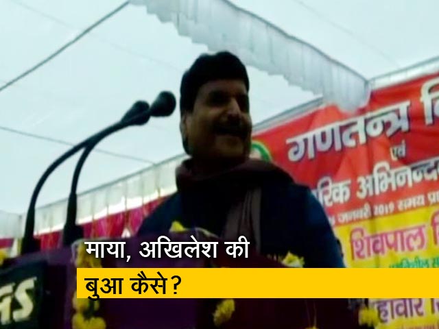 'जब नेताजी ने मायावती को बहन नहीं बनाया तो अखिलेश की बुआ कैसे'