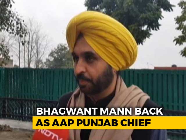 A Year After Exit, Bhagwant Mann Re-Appointed Punjab Aam Aadmi Party Chief