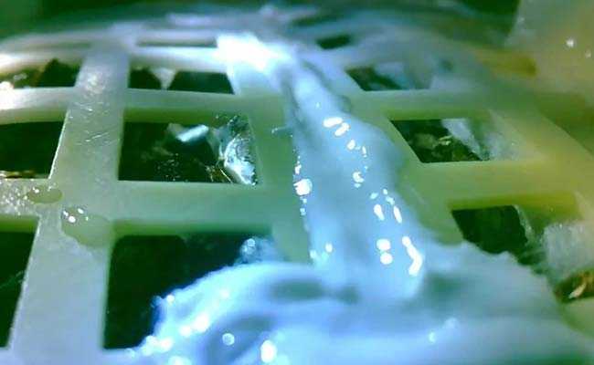 "Out Of This World": A Small Cotton Shoot Is Growing On The Moon