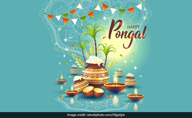Pongal Wishes You Can Share With Friends, Family