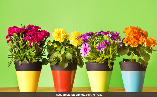 5 Sets Of Planters To Brighten Up Your Living Space