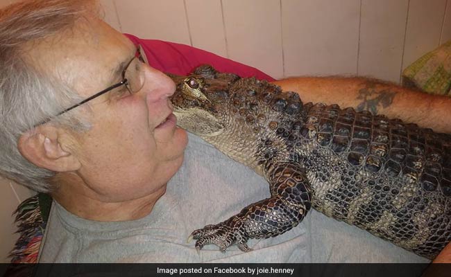 "He Likes To Give Hugs," Says Man With Emotional Support Alligator