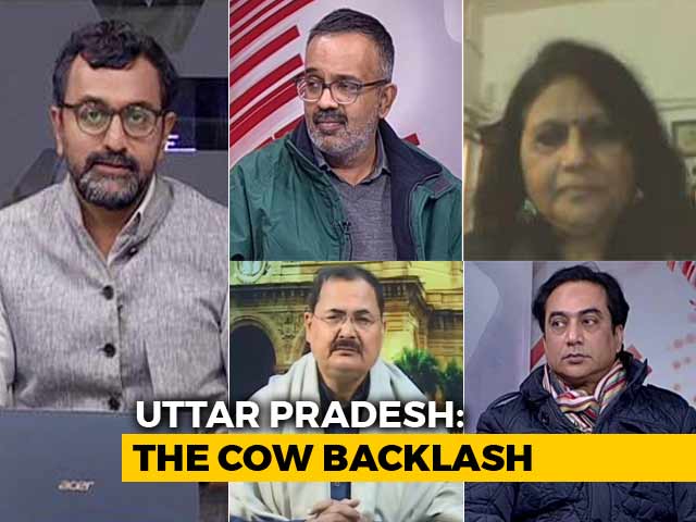 Truth vs Hype: Is Yogi Government Facing A "Cow Backlash"?