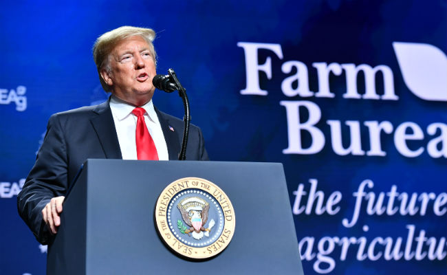 Trump Praises Brazil's New President Nicknamed "Trump Of South America"