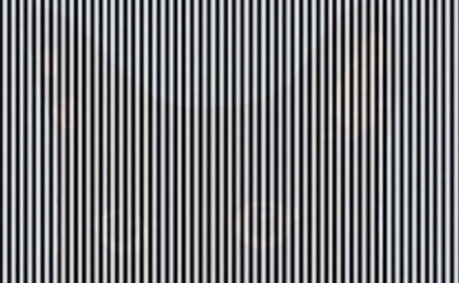 Can You Spot The Animal Hidden In This Bizarre Optical Illusion Going Viral?