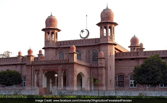 Pakistan University Rebrands Valentine's Day As "Sister's Day"