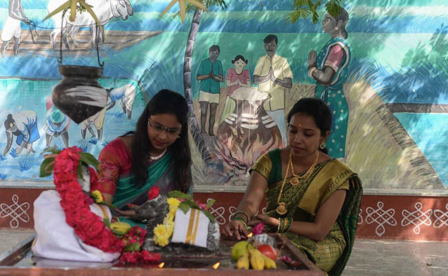 Pongal 2021: Know The Days, Dates And Time For Pongal Celebrations