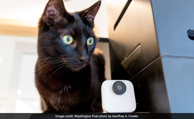 Airbnb Refunds Guest Who Found Undisclosed Indoor Camera During Stay