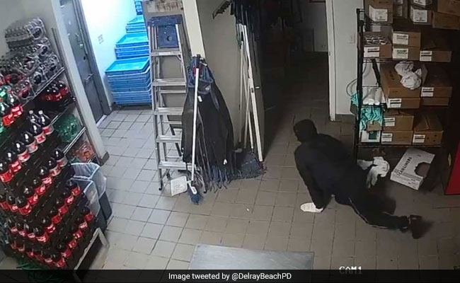 "Creeping, Crawling Criminal" Steals Empty Safe In Hilarious Clip