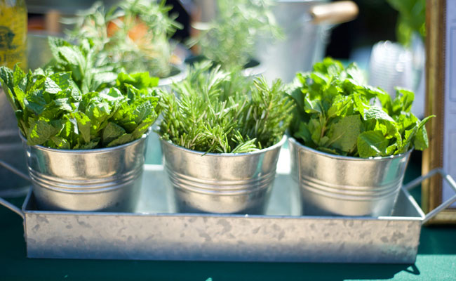 Herbs are easy to incorporate in the diet and very beneficial for the body