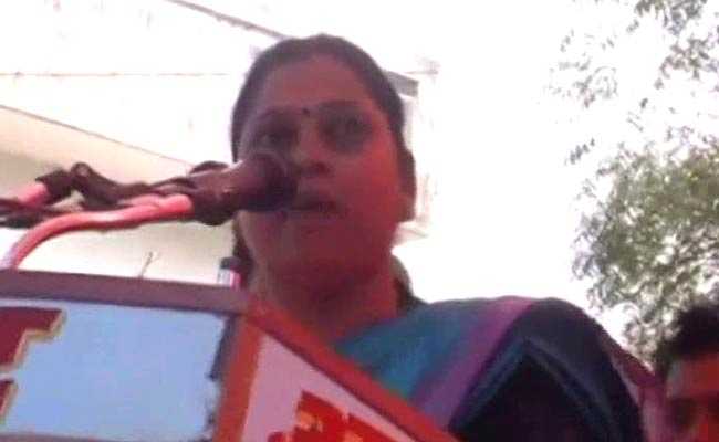 "Nothing Wrong": BJP Lawmaker On Colleague's Offensive Mayawati Remarks