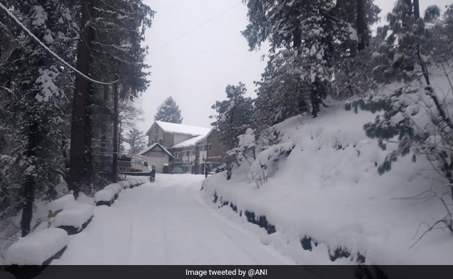 Himachal Hills Turn White Under Snow, Traffic Movement Affected