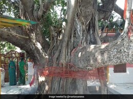 Kumbh Mela 2019 Quiz: 450 साल बाद किस वृक्ष के दर्शन के लिए प्रयागराज के ओडी किले में आम लोगों को जाने की अनुमति मिली? Kumbh Mela 2019 Quiz: 450 साल बाद किस वृक्ष के दर्शन के लिए प्रयागराज के ओडी किले में आम लोगों को जाने की अनुमति मिली?