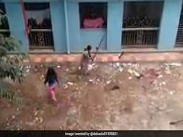 दो नर्सों ने पिल्लों को डंडों से पीट-पीटकर मार डाला, वीडियो ने मचाया बवाल, पुलिस ने किया ऐसा दो नर्सों ने पिल्लों को डंडों से पीट-पीटकर मार डाला, वीडियो ने मचाया बवाल, पुलिस ने किया ऐसा