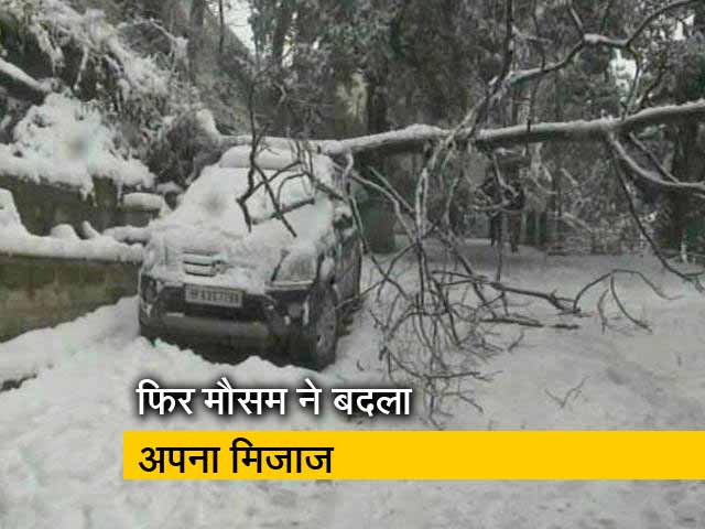 जम्मू-कश्मरी: राजौरी में हुई जमकर बर्फबारी