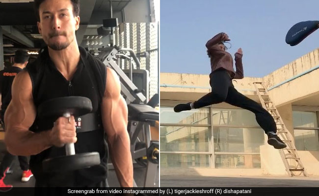 दिशा पटानी ने मारी धुआंधार किक, टाइगर श्रॉफ पहुंच गए जिम, वायरल हुआ Video