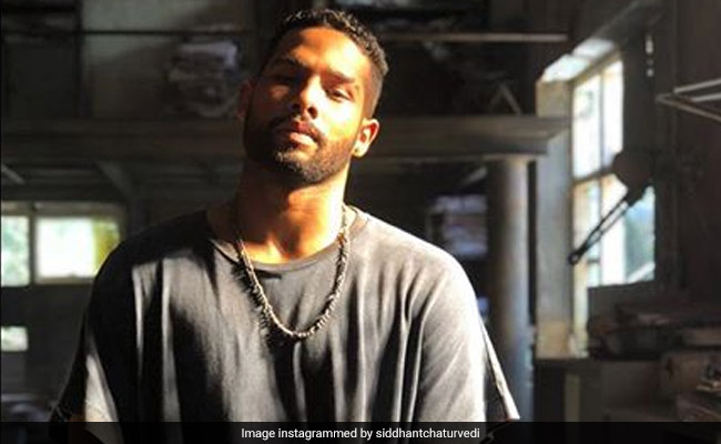 After Struggling For 6 Years, <i>Gully Boy</i>'s MC Sher Aka Siddhant Chaturvedi Roars. His Story