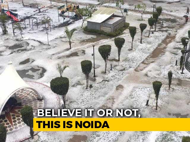 Did It Just Snow Near Delhi? Thick Blanket Of Hail Leaves Noida White
