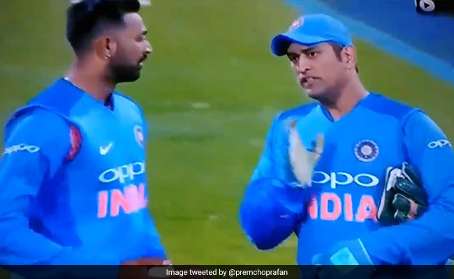 एमएस धोनी ने किया इशारा और पंड्या को मिल गया विकेट, बल्लेबाज ने भी पकड़ लिया सिर, देखें VIDEO