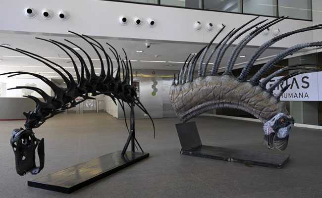 With Spiny Backbone, A Dinosaur Species Defended Itself From Predators