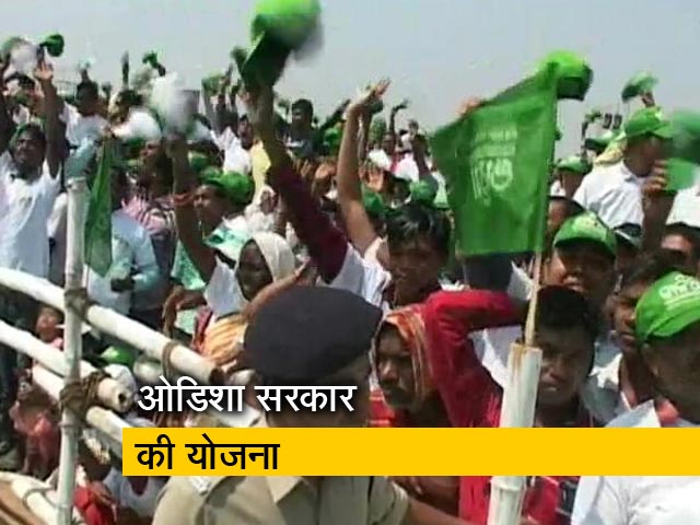 ओडिशा में कालिया योजना से किसानों की मदद