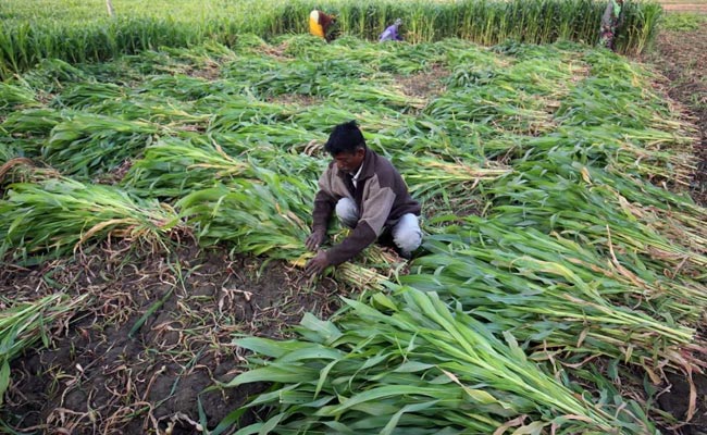 Funds Under PM-Kisan Scheme Yet To Be Transferred To Farmers In UP