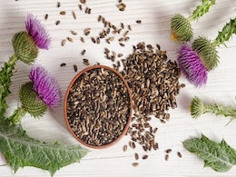 Milk Thistle For Type-2 Diabetes: How This Herb Can Help Regulate Blood Sugar Levels In Patients Milk Thistle For Type-2 Diabetes: How This Herb Can Help Regulate Blood Sugar Levels In Patients