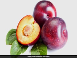 Plums For Summer: गर्मियों में इस एक फल का करें सेवन, मिलेंगे कई फायदे Plums For Summer: गर्मियों में इस एक फल का करें सेवन, मिलेंगे कई फायदे