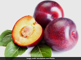 मार्च में मिलता है दिमाग तेज करने वाला ये खास फल,  जानिए इस फ्रूट से सेहत को होते हैं क्या-क्या फायदे मार्च में मिलता है दिमाग तेज करने वाला ये खास फल,  जानिए इस फ्रूट से सेहत को होते हैं क्या-क्या फायदे