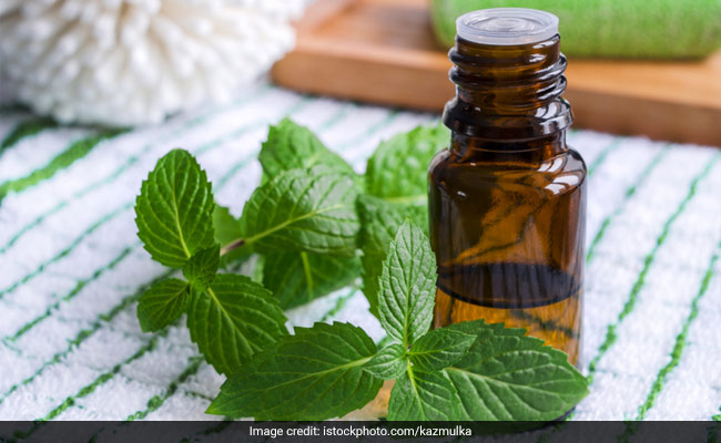 Here's How Mint May Help Improve Digestion Naturally