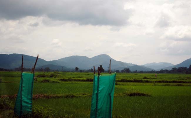 Centre Asks Top Court To Stay Eviction Order Of Tribals From Forest Land