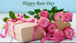 Rose Day 2025: Date, Significance and Wishes To Share With Your Loved Ones