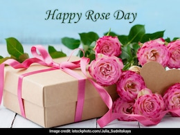 Rose Day 2025: Date, Significance and Wishes To Share With Your Loved Ones Rose Day 2025: Date, Significance and Wishes To Share With Your Loved Ones