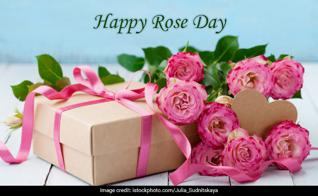 Happy Rose Day 2019: Wishes, Images, Wallpapers, Quotes, Status ...