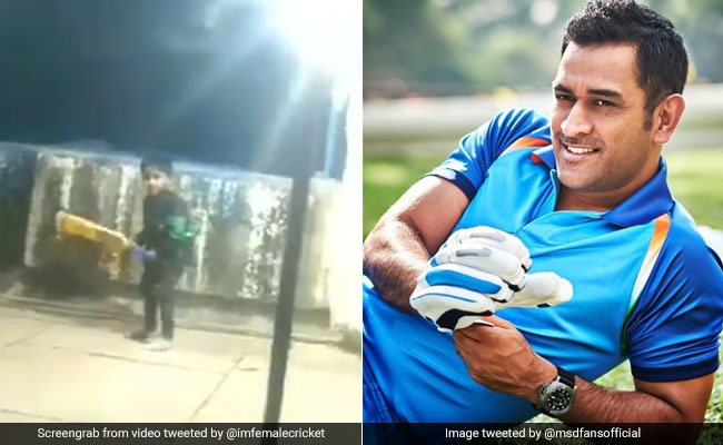 4 साल की इस बच्ची ने जड़े एमएस धोनी जैसे छक्के, देखकर आप भी हो जाएंगे हैरान, देखें VIDEO
