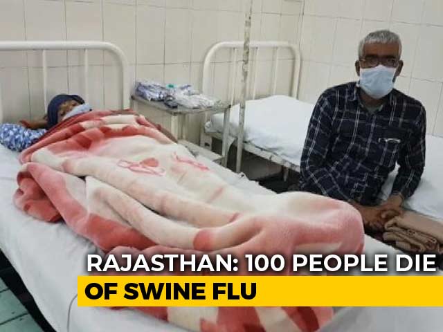 100 Cases Of Swine Flu In A Day In Rajasthan, Nine dead in 48 Hours