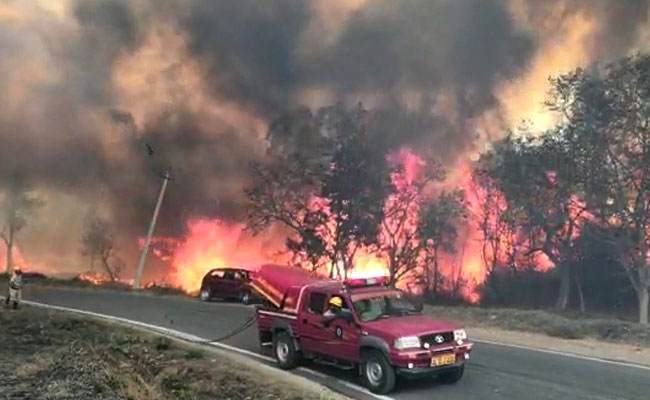 Karnataka Continues To Battle Wildfire In Bandipur Forest Area