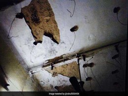 Roof Plaster Falls Off In Hyderabad's Osmania Hospital Roof Plaster Falls Off In Hyderabad's Osmania Hospital