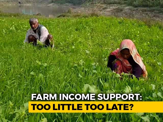 Ground Report: What Rs. 6,000 Dole Means To India's Poorest Farmers
