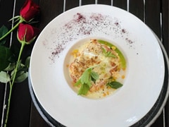 Pumpkin and Corn Canelloni With Truffle Cream Sauce