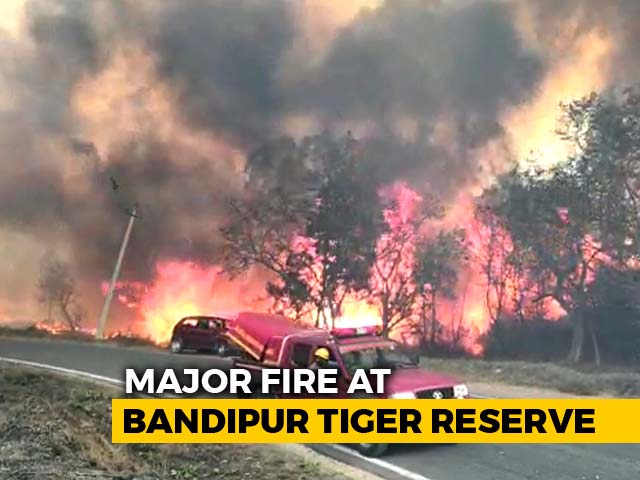 Major Fire Breaks Out At Bandipur Tiger Reserve In Karnataka